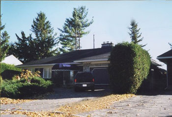 front before